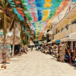 Playa del Carmen desde Salta