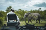 Lo Mejor de Sudáfrica - Image 2